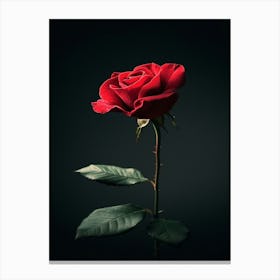 Single Red Rose 1 Canvas Print