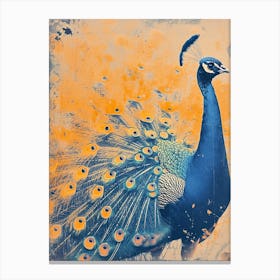 Vintage Orange & Blue Peacock Canvas Print