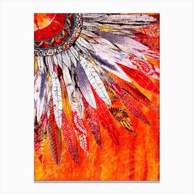 Indian Feathers Canvas Print