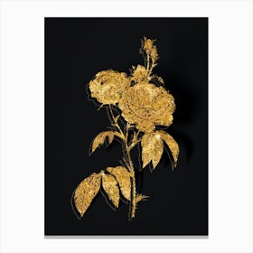 Vintage Purple Roses Botanical in Gold on Black n.0269 Canvas Print