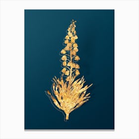 Vintage Persian Lily Botanical in Gold on Teal Blue n.0297 Canvas Print