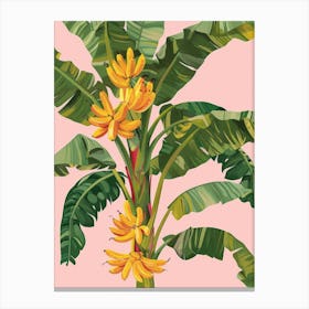 Banana Tree 3 Canvas Print