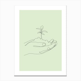 Hand Holding A Plant 1 Canvas Print