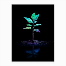 Plant In The Dark 3 Canvas Print