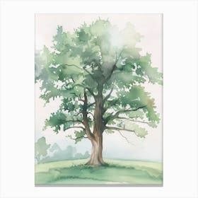 Oak Tree Atmospheric Watercolour Painting 12 Canvas Print