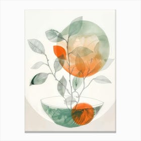 Oranges In A Bowl Canvas Print