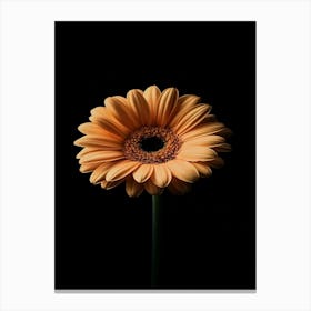 Gerbera Daisy 7 Canvas Print