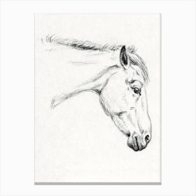 Head Of A Horse 1, Jean Bernard Canvas Print
