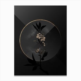 Shadowy Vintage Pink Flower Branch Botanical on Black with Gold Canvas Print