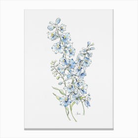 Sky Blue Delphinium Canvas Print