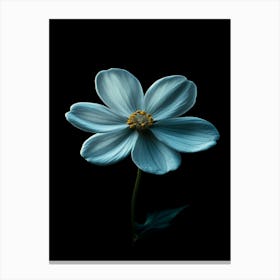 Blue Flower 13 Canvas Print