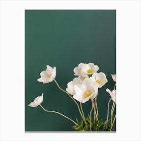 White Anemones In A Vase Canvas Print