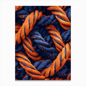 Blue And Orange Ropes 2 Canvas Print