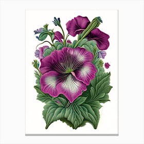 Petunia 1 Floral Botanical Vintage Poster Flower Canvas Print