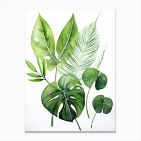 Tropical Leaves 3 Canvas Print