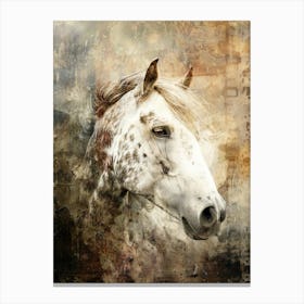 Poster Horse Wild Animal Illustration Art 05 Canvas Print