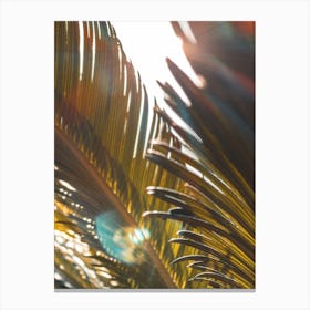 Palm Leaves In The Sun Canvas Print