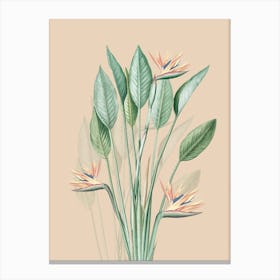 Vintage Jungle Paradise Flower Canvas Print