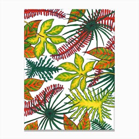 Florida Flora Canvas Print