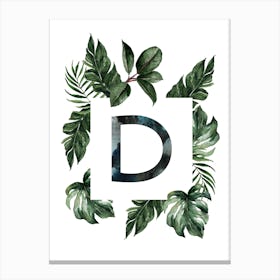 Botanical Alphabet D Canvas Print