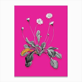 Vintage Daisy Flowers Black and White Gold Leaf Floral Art on Hot Pink Canvas Print