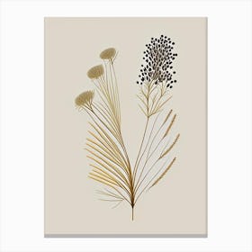Fennel Seed Spices And Herbs Retro Minimal 1 Canvas Print