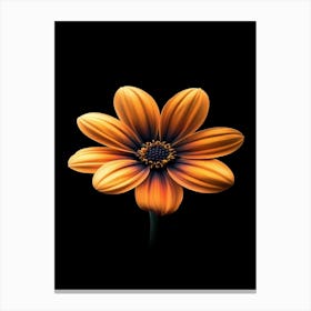 Daisy Flower Canvas Print