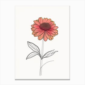 Zinnia Floral Minimal Line Drawing 3 Flower Canvas Print