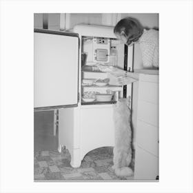 Even The Cats Know The Refrigerators Contain Plenty Of Food At The Casa Grande Farms, Pinal County, Arizona Canvas Print
