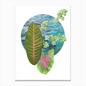 Cozumel Plant Life Canvas Print