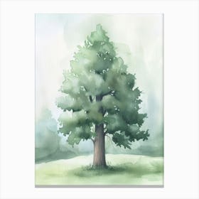 Sequoia Tree Atmospheric Watercolour Painting 1 Canvas Print