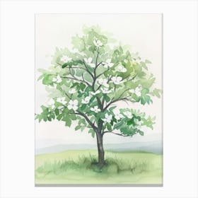 Dogwood Tree Atmospheric Watercolour Painting 3 Canvas Print