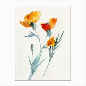 Poppies 101 Canvas Print