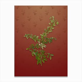 Vintage Rock Buckthorn Botanical on Falu Red Pattern Canvas Print