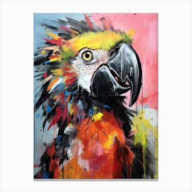 Parrot 13 Canvas Print