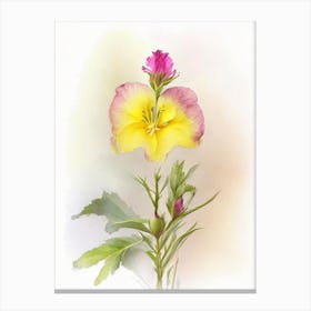 Evening Primrose Wildflower Watercolour 2 Canvas Print