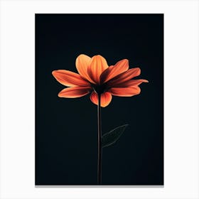 Single Flower On Black Background 2 Canvas Print