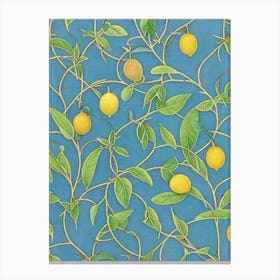 Lemon 2 Vintage Botanical Fruit Canvas Print
