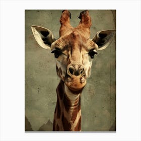 Giraffe 96 Canvas Print