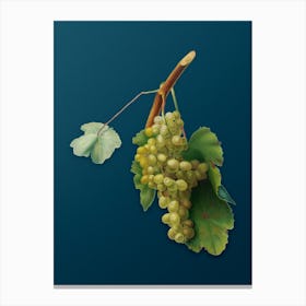 Vintage Grape Vine Botanical Art on Teal Blue n.0023 Canvas Print