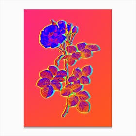 Neon Damask Rose Botanical in Hot Pink and Electric Blue n.0597 Canvas Print