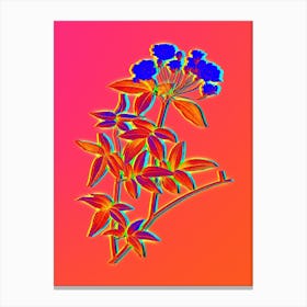 Neon Lady Bank's Rose Botanical in Hot Pink and Electric Blue n.0167 Canvas Print