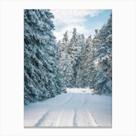 Winter Road, Snow, Christmas Trees, Oil Painting Canvas Print