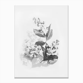 Flowers Bouquet Black And White Canvas Print