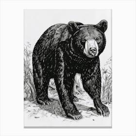 Malayan Sun Bear Standing In A Forests Ink Illustration 3 Canvas Print