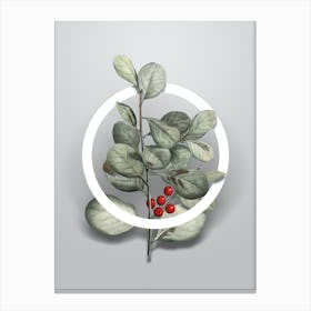 Vintage Lingonberry Evergreen Minimalist Botanical Geometric Circle on Soft Gray n.0434 Canvas Print