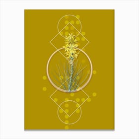 Vintage Yellow Asphodel Botanical with Geometric Line Motif and Dot Pattern n.0102 Canvas Print