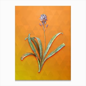 Vintage Spanish Bluebell Botanical Art on Tangelo n.0509 Canvas Print