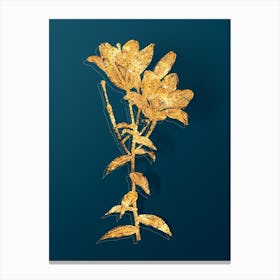 Vintage Orange Bulbous Lily Botanical in Gold on Teal Blue n.0210 Canvas Print