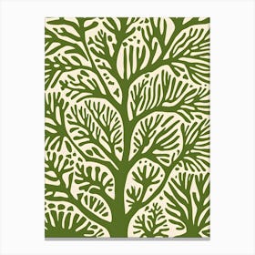 Coral Tree Canvas Print